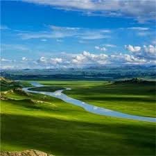 Hoàng Thanh Hà avatar